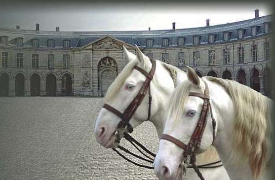 vous venez faire un tour les filles ...