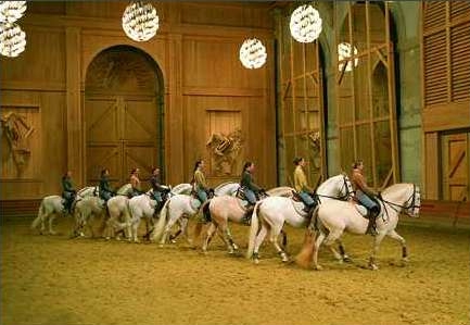 spectacle Bartabas ...